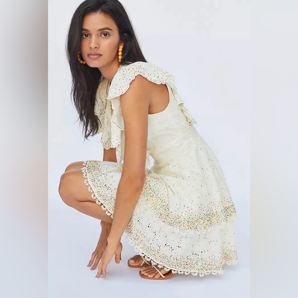 Farm Rio Eyelet Patch Beaded Mini Dress Size Small Retail $375
Amazing Condition - Picture 2 of 16